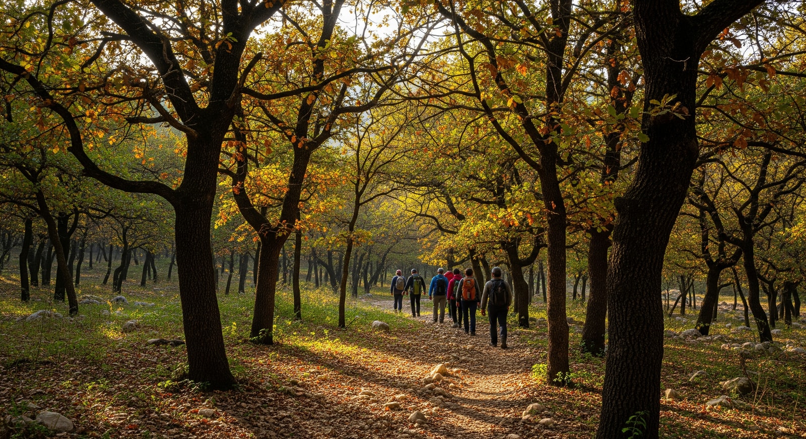 Hikers on a trail through oak forest in Yarmouk Forest Reserve, northern Jordan